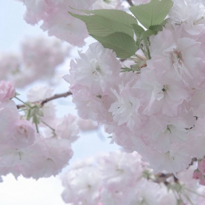 Furry插画风格解析Furry群