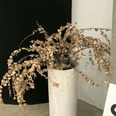 Furry绘画动态表现福瑞交流群